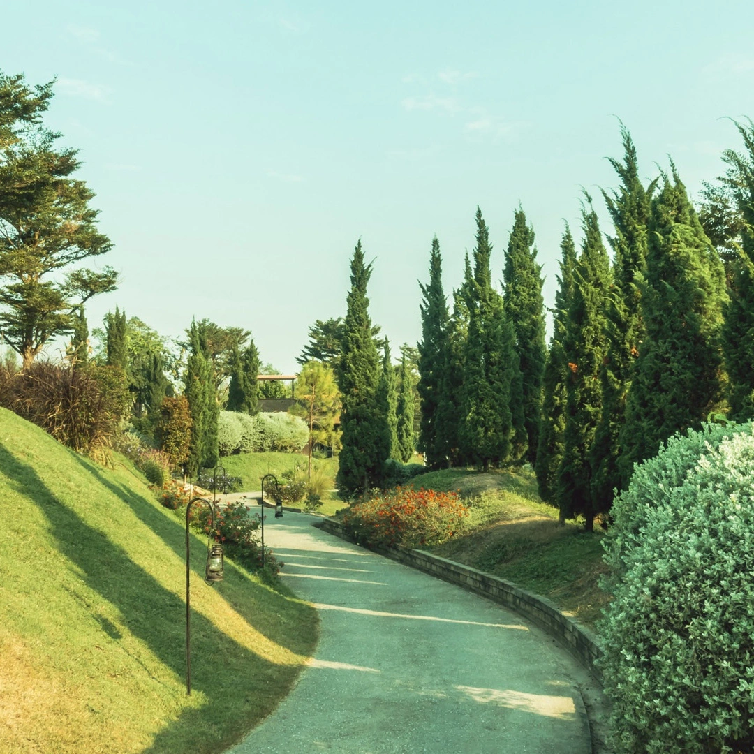 Warung Makan Bu Siti