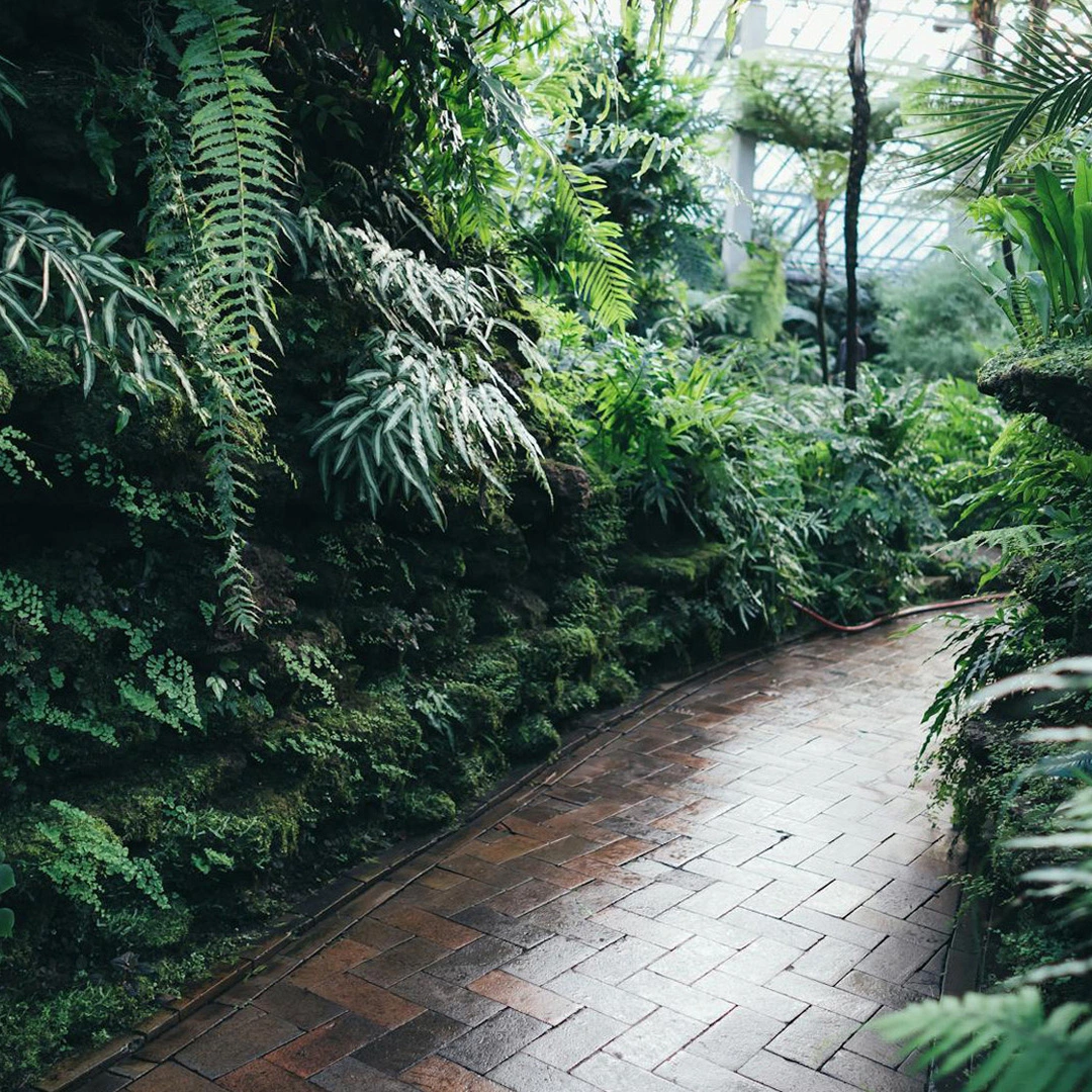 Warung Makan Bu Siti